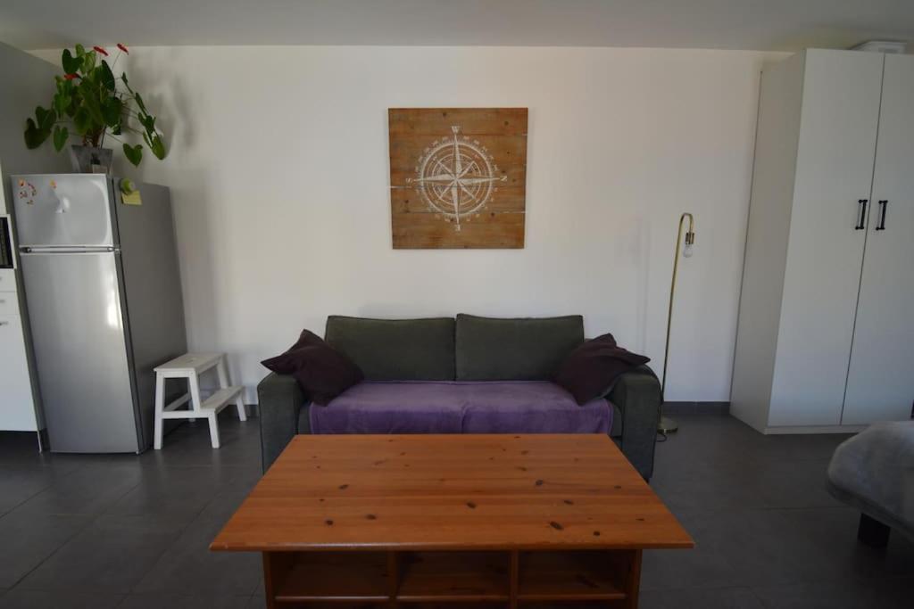 Grand Studio Independant Avec Jardin Goussainville  Ngoại thất bức ảnh