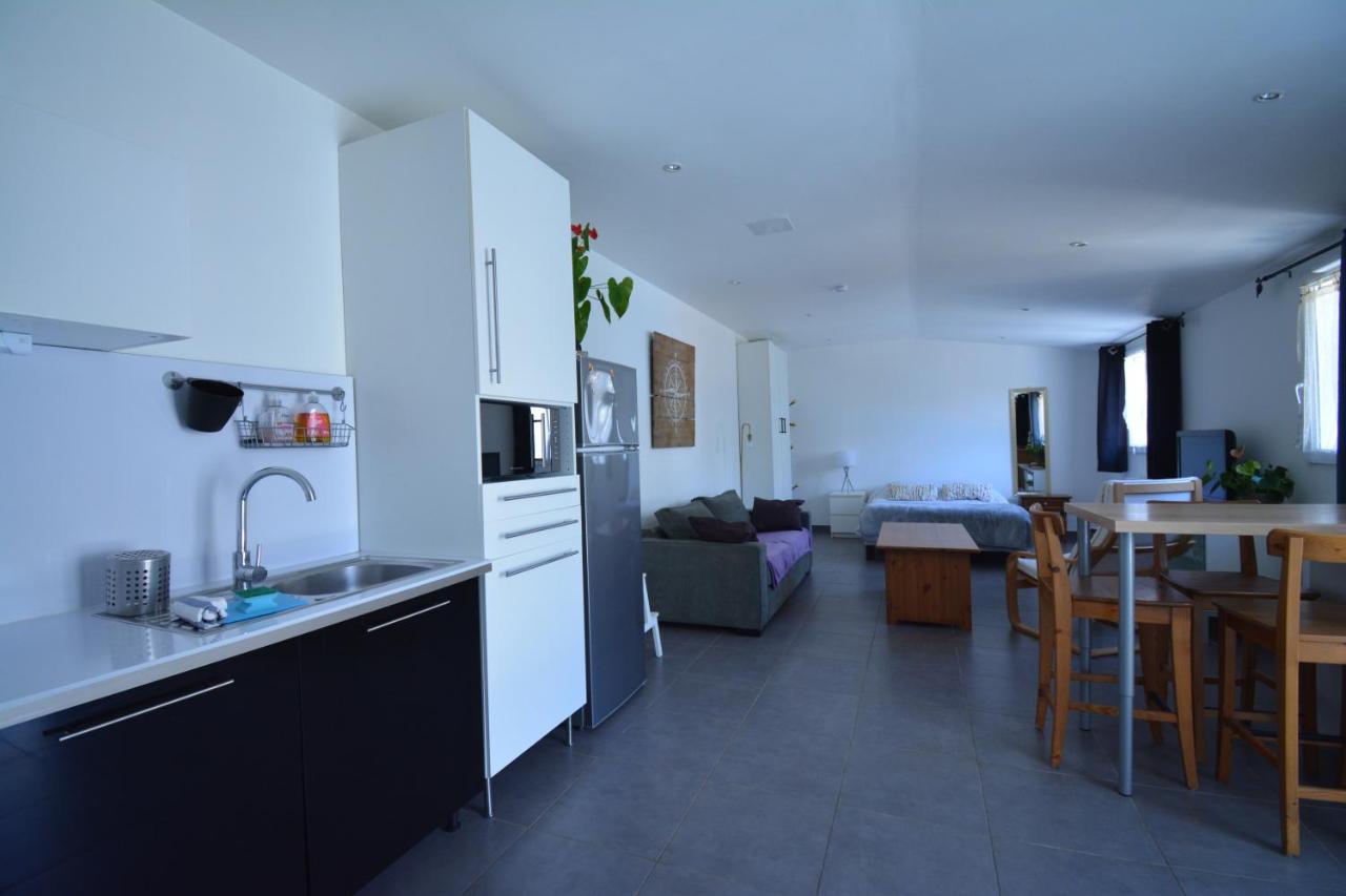 Grand Studio Independant Avec Jardin Goussainville  Ngoại thất bức ảnh
